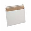 Express Pouch™ Mailers, 12-1/2 x 9-1/2 (Carton of 250)