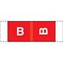 Col R Tab Compatible "B" Labels, Polylaminated Stock, 1/2 " X 1-1/2" Individual Letters - 100 per Pack