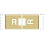 Col R Tab Compatible "R" Labels, Polylaminated Stock, 1/2 " X 1-1/2" Individual Letters - 100 per Pack