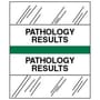 Pathology Results Chart Divider Tabs, 1-1/4" x 1/2", Green (Pack of 100)