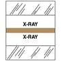 X-Ray Chart Divider Tabs, 1-1/4" x 1/2", Tan (Pack of 100)