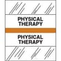 Physical Therapy Chart Divider Tabs, 1-1/4" x 1/2", Orange (Pack of 100)