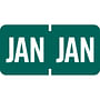 Tab Compatible "Jan" Month Labels, Vinyl Kimdura Stock, 1" X 1/2", Individual Months - Roll of 1000