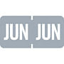 Tab Compatible "Jun" Month Labels, Vinyl Kimdura Stock, 1" X 1/2", Individual Months - Roll of 1000