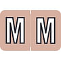 Barkley ACPM Compatible "M" Labels, Laminated Stock, 1" X 1-1/2" Individual Letters - Roll of 500