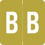 Barkley ADPK Compatible "B" Labels, Laminated Stock, 1-1/2" X 1-1/2" Individual Letters - Pack of 228