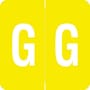 Barkley ADPK Compatible "G" Labels, Laminated Stock, 1-1/2" X 1-1/2" Individual Letters - Pack of 228