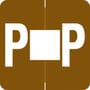 Barkley ADPK Compatible "P" Labels, Laminated Stock, 1-1/2" X 1-1/2" Individual Letters - Pack of 228