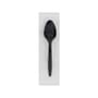 Heavy Weight Polypropylene Individually Wrapped Teaspoon, Black (1000 per Case)