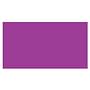 2" x 3" Purple Rectangle Labels (500 per Roll)