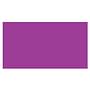 2" x 4" Purple Rectangle Labels (500 per Roll)