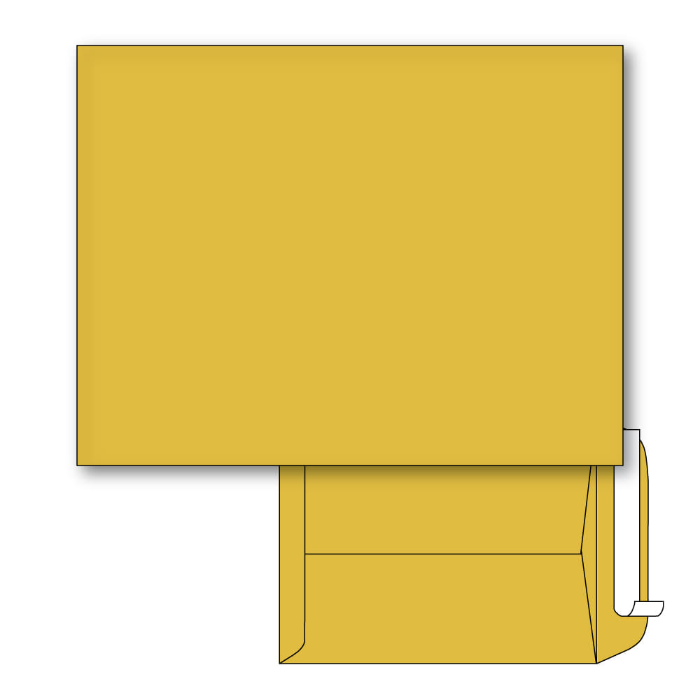 Brown Kraft Catalog Envelopes - 28lb Peel & Seal, 11.5x14.5 Inches, 500 Pack