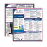 Federal & State Labor Law Poster Sets