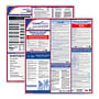 ComplyRight Fed/State New York Compliance Labor Law Poster Kit, Laminated, SPANISH, 24" x 34" - 1 set per pack