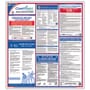 ComplyRight Federal Labor Law Poster, SPANISH, 24 x 27\
