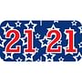 Patriot Compatible "21" Yearband Labels, Patriotic Labels,Laminated Stock 1-1/2" x 3/4" - 500 per Roll