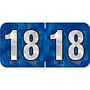 PMA Compatible "18" Yearband Labels, 1-1/2" X 3/4" - 500 per Roll