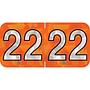 PMA Compatible "22" Yearband Labels, 1-1/2" X 3/4" - 500 per Roll