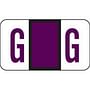 Jeter Compatible "G" Labels, Polylaminated Stock, 15/16 " X 1-5/8" Individual Letters - Roll of 500