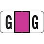 Jeter Compatible "G" Labels, Polylaminated Stock, 3/4 " X 1-1/2" Individual Letters - Roll of 500