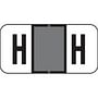 Jeter Compatible "H" Labels, Polylaminated Stock, 3/4 " X 1-1/2" Individual Letters - Roll of 500