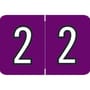 Barkley NCPM Compatible Numeric "2" Labels, Laminated Stock, 1" X 1-1/2" Individual Numbers - Roll of 500