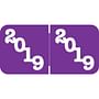 POS POYM Compatible "2019" Yearband Labels, 1-1/2" X 3/4" - 500 per Roll
