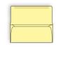 #9 Collection/Remittance Envelopes, 3-7/8" x 8-7/8" 24# Canary Pastel, Open Side, Flaps Extended (Box of 500)