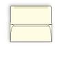 #9 Collection/Remittance Envelopes, 3-7/8" x 8-7/8" 24# Creme Pastel, Open Side, Flaps Extended (Box of 500)