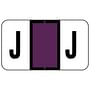 Tab 0200 Compatible "J" Labels, Laminated Stock, 15/16" X 1-5/8", Individual Letters - Pack of 240