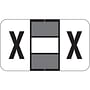 Jeter 0200 Compatible "X" Labels, Laminated Stock, 15/16" X 1-5/8" Individual Letters - Roll of 500