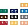 Tab Compatible Mini Numeric Labels, Vinyl Kimdura Stock, 1/2" X 1", Starter Set - 10 Rolls of 1000