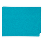 14pt Teal Folders, Full Cut 2-Ply END TAB, Letter Size (Box of 50)