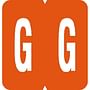 GBS Compatible "G" Labels, Laminated Stock, 1-5/16" X 1-1/4" Individual Letters - Pack of 200