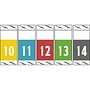 Col'R'Tab Compatible Yearband Labels, 1-1/2" X 3/4" - Roll of 1000