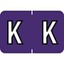 Barkley ABKM Compatible "K" Labels, Laminated Stock, 1" X 1-1/2" Individual Letters - Pack of 225