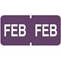 Tab Compatible "Feb" Month Labels, Vinyl Kimdura Stock, 1" X 1/2", Individual Months - Roll of 500