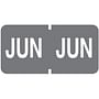 Tab Compatible "Jun" Month Labels, Vinyl Kimdura Stock, 1" X 1/2", Individual Months - Roll of 500