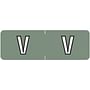 Barkley ABAM Compatible Mini "V" Labels, Laminated Stock, 1/2" X 1-1/2" Individual Letters - Roll of 500