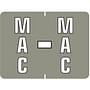 Data File Compatible "Mac" Labels, Laminated Stock, 15/16" X 1-1/4" Individual Letters - Roll of 500