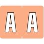 Data File Compatible "A" Labels, Laminated Stock, 15/16" X 1-1/4" Individual Letters - Pack of 256