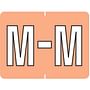 Data File Compatible "M" Labels, Laminated Stock, 15/16" X 1-1/4" Individual Letters - Pack of 256