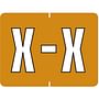 Data File Compatible "X" Labels, Laminated Stock, 15/16" X 1-1/4" Individual Letters - Pack of 256