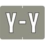 Data File Compatible "Y" Labels, Laminated Stock, 15/16" X 1-1/4" Individual Letters - Pack of 256