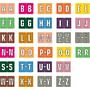 Data File Compatible Alpha Labels, Laminated Stock, 15/16" X 1-1/4" Individual Letters - Pack of 256