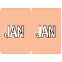 Data File Compatible "Jan" Month Labels, Laminated Stock, 15/16" X 1-1/4", Individual Months - Pack of 256