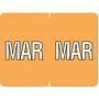 Data File Compatible "Mar Month Labels, Laminated Stock, 15/16" X 1-1/4", Individual Months - Pack of 256