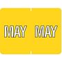 Data File Compatible "May" Month Labels, Laminated Stock, 15/16" X 1-1/4", Individual Months - Pack of 256