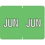 Data File Compatible "Jun" Month Labels, Laminated Stock, 15/16" X 1-1/4", Individual Months - Pack of 256