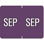 Data File Compatible "Sep" Month Labels, Laminated Stock, 15/16" X 1-1/4", Individual Months - Pack of 256